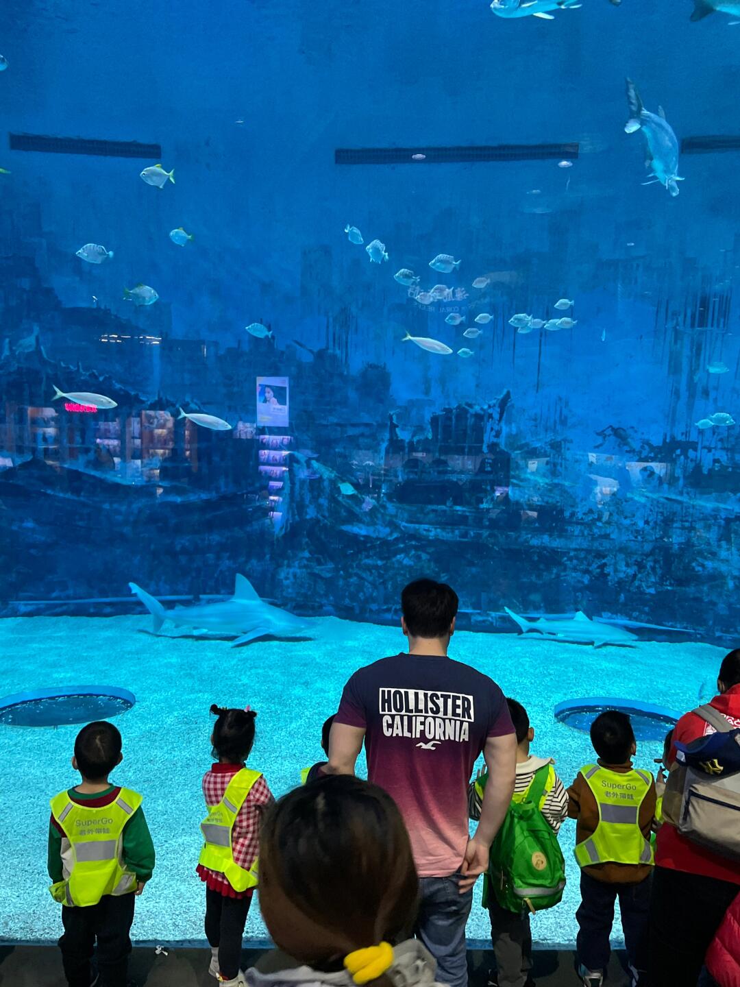 kaiyun体育app-关于大型海洋深潜探索赛，潜入深海体验奇幻之旅的信息